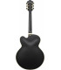 Ibanez AF75G Black Flat