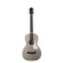 Godin Rialto JR Satina Gray HG Q-Discrete