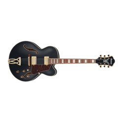 Ibanez AF75G Black Flat