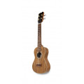 APC CT Ukelele Concert Traditional