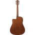 Ibanez V40CE Open Pore Natural