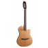 Godin Multiac Nylon Encore SG + Funda