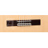 Alhambra 3F CW E1 Classic Guitar