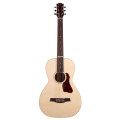 Godin Rialto Natural RN GT EQ