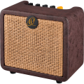 Ortega PTWO Acoustic Amplifier