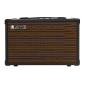 Joyo AC-40 Acoustic Amp