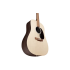 Martin DX2E Rosewood