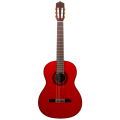 Jose Gomez F80R Flamenca