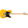 Fender Standard Telecaster MN Butterscotch Blonde