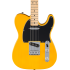 Fender Standard Telecaster MN Butterscotch Blonde