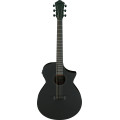 Ibanez AEWC621 Black Out