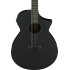 Ibanez AEWC621 Black Out