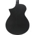 Ibanez AEWC621 Black Out