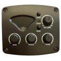 Paco Castillo Mings MG-30 Preamp