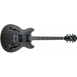 Ibanez AS53-TKF Transparent Black Flat